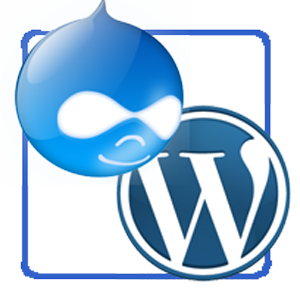 Drupal or WordPress Which is Right for You?